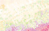 Pastels