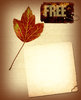 Fall Leaf Collage 2