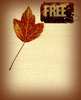 Fall Leaf Collage 4