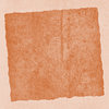 Paper Scraps 1
