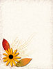 Texture Collage 2