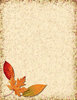 Texture Collage 4