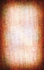 Canvas 5