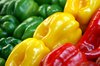 Capsicum