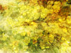 flowered background
