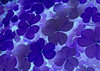 little flowers 3 background