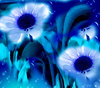 blurry flowers background