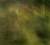 special texture