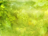 green flower background