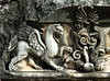 Griffon