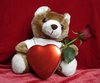 Teddy loves you