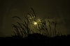 Glow 2