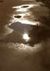 Puddles 2