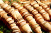 Pots in pots