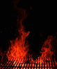 Grilled