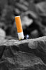 Cigarette Butt