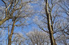 winter landscape 2