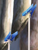 Blue 3