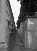 The last town 3