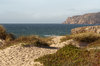 Sea coast