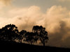 Clouds 1
