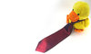 Quack-in-Tie B 1
