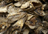 fish heads