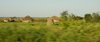 African life