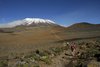 Kilimanjaro