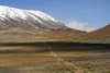 Way to Kilimanjaro