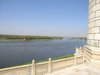 Taj F