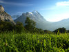 Swiss Mountains