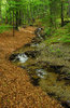 Autumn in Small-Fatra
