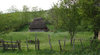 rustic life 2