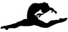 Gymnast4