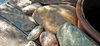 stones