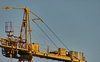 yellow crane