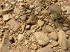 ground 3