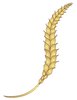 Wheat Strand