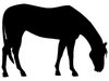 Grazing Horse