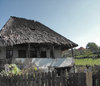 wood roof 1