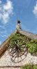 wheel on house