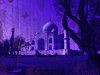 .TAJ GRUNGE. 2