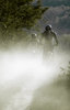dust