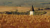 corn temple
