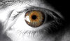 Eye max 1