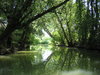 Marsh Marais Poitevin 1
