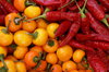Pepper and vegetables 4