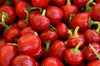 Pepper and vegetables 5