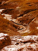 Life on Mars 2
